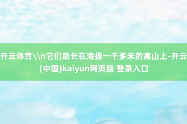 开云体育\n它们助长在海拔一千多米的高山上-开云(中国)kaiyun网页版 登录入口