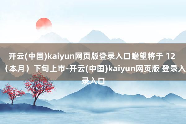 开云(中国)kaiyun网页版登录入口瞻望将于 12 月（本月）下旬上市-开云(中国)kaiyun网页版 登录入口