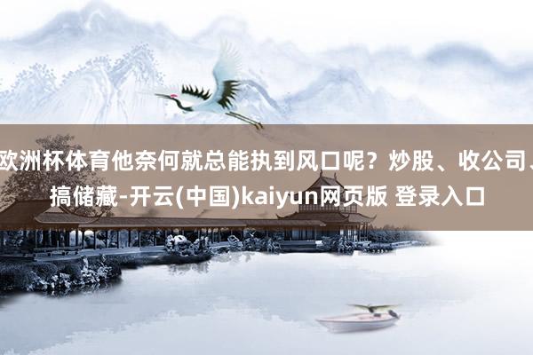 欧洲杯体育他奈何就总能执到风口呢？炒股、收公司、搞储藏-开云(中国)kaiyun网页版 登录入口