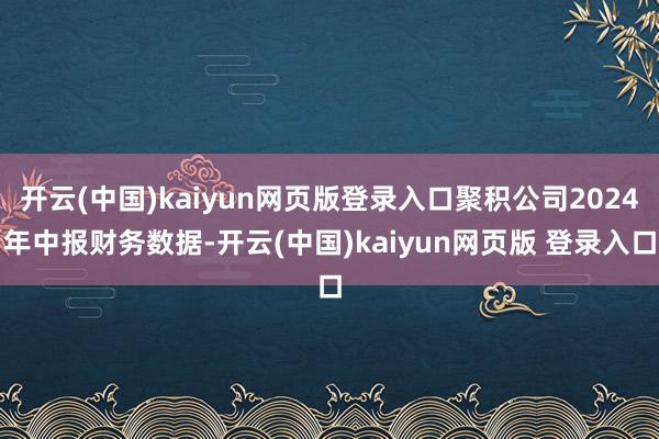 开云(中国)kaiyun网页版登录入口聚积公司2024年中报财务数据-开云(中国)kaiyun网页版 登录入口