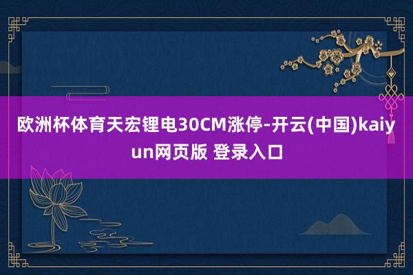 欧洲杯体育天宏锂电30CM涨停-开云(中国)kaiyun网页版 登录入口