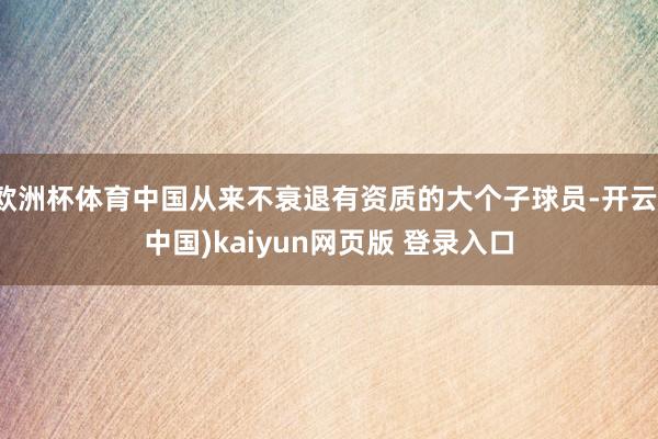 欧洲杯体育中国从来不衰退有资质的大个子球员-开云(中国)kaiyun网页版 登录入口