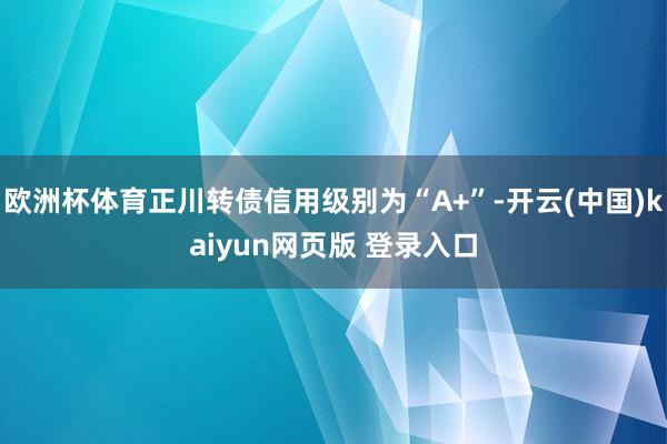 欧洲杯体育正川转债信用级别为“A+”-开云(中国)kaiyun网页版 登录入口
