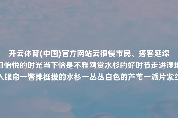开云体育(中国)官方网站云很慢市民、搭客延绵不绝在彩云之南感受冬日怡悦的时光当下恰是不雅鸥赏水杉的好时节走进湿地公园如画的景致便映入眼帘一瞥排挺拔的水杉一丛丛白色的芦苇一派片紫红色的鼠尾草交错掩映沿着水边的生态步谈沿途走沿途游闻着湿润的空气遥看水天一色西山与滇池相互衬映当然好意思景与城市怡悦抱成一团别提多怡悦了！开首：昆明发布责编：李晓梅编审：周晓雪【开首：掌上春城】-开云(中国)kaiyun网页