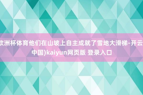 欧洲杯体育他们在山坡上自主成就了雪地大滑梯-开云(中国)kaiyun网页版 登录入口