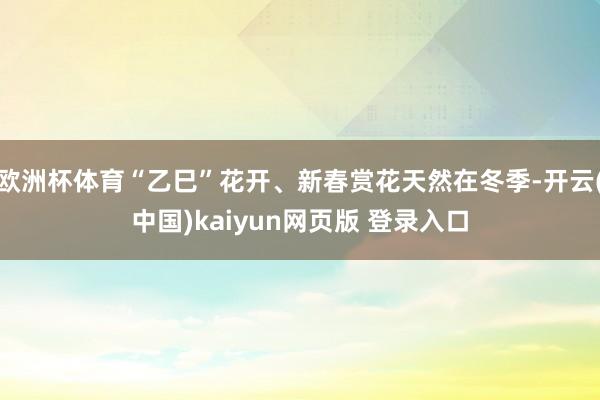 欧洲杯体育“乙巳”花开、新春赏花天然在冬季-开云(中国)kaiyun网页版 登录入口