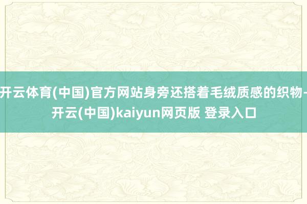 开云体育(中国)官方网站身旁还搭着毛绒质感的织物-开云(中国)kaiyun网页版 登录入口