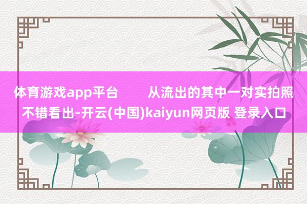 体育游戏app平台        从流出的其中一对实拍照不错看出-开云(中国)kaiyun网页版 登录入口