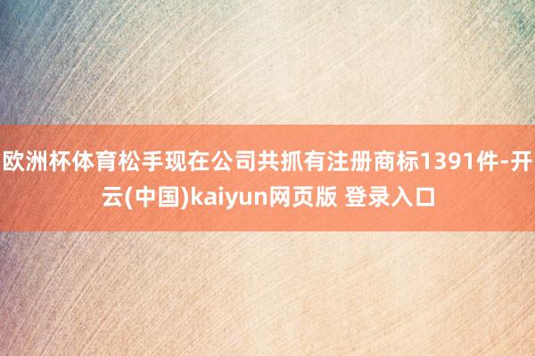 欧洲杯体育松手现在公司共抓有注册商标1391件-开云(中国)kaiyun网页版 登录入口