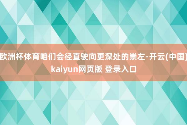 欧洲杯体育咱们会径直驶向更深处的崇左-开云(中国)kaiyun网页版 登录入口