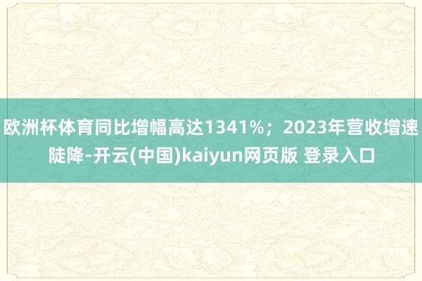 欧洲杯体育同比增幅高达1341%；2023年营收增速陡降-开云(中国)kaiyun网页版 登录入口
