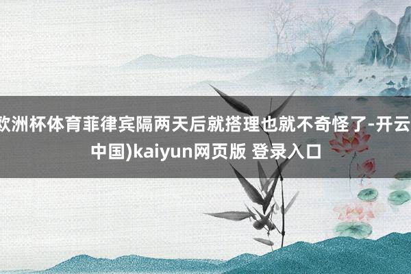 欧洲杯体育菲律宾隔两天后就搭理也就不奇怪了-开云(中国)kaiyun网页版 登录入口